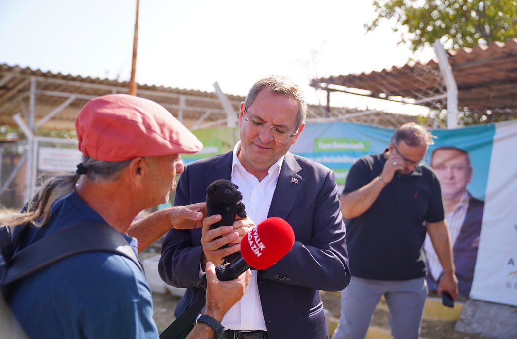 Ayvalık Belediyesi'nden Sokak Hayvanları Yasasına Tepki