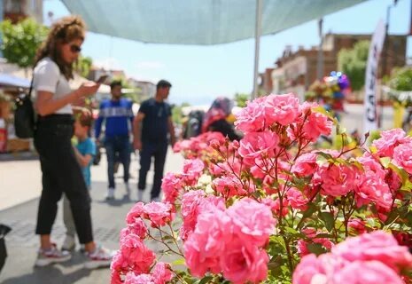 Çiçek Festivali