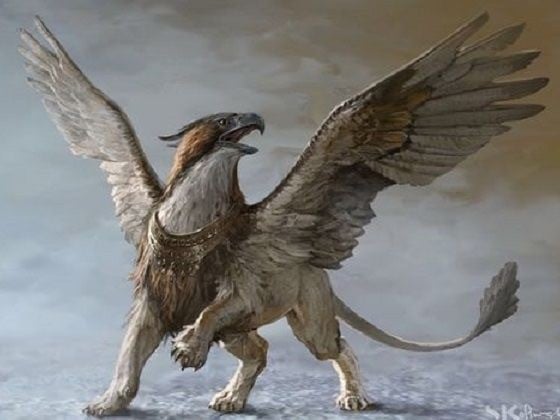 Griffon