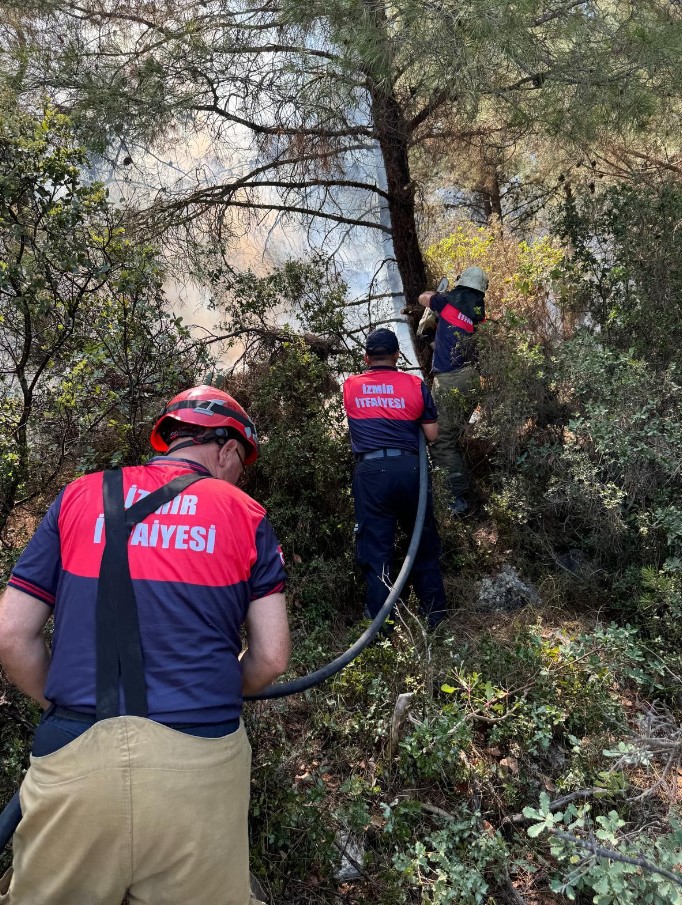 İzmir İtfaiyesi'nin 4 Ilçede Yangınlarla Mücadelesi Sürüyor1