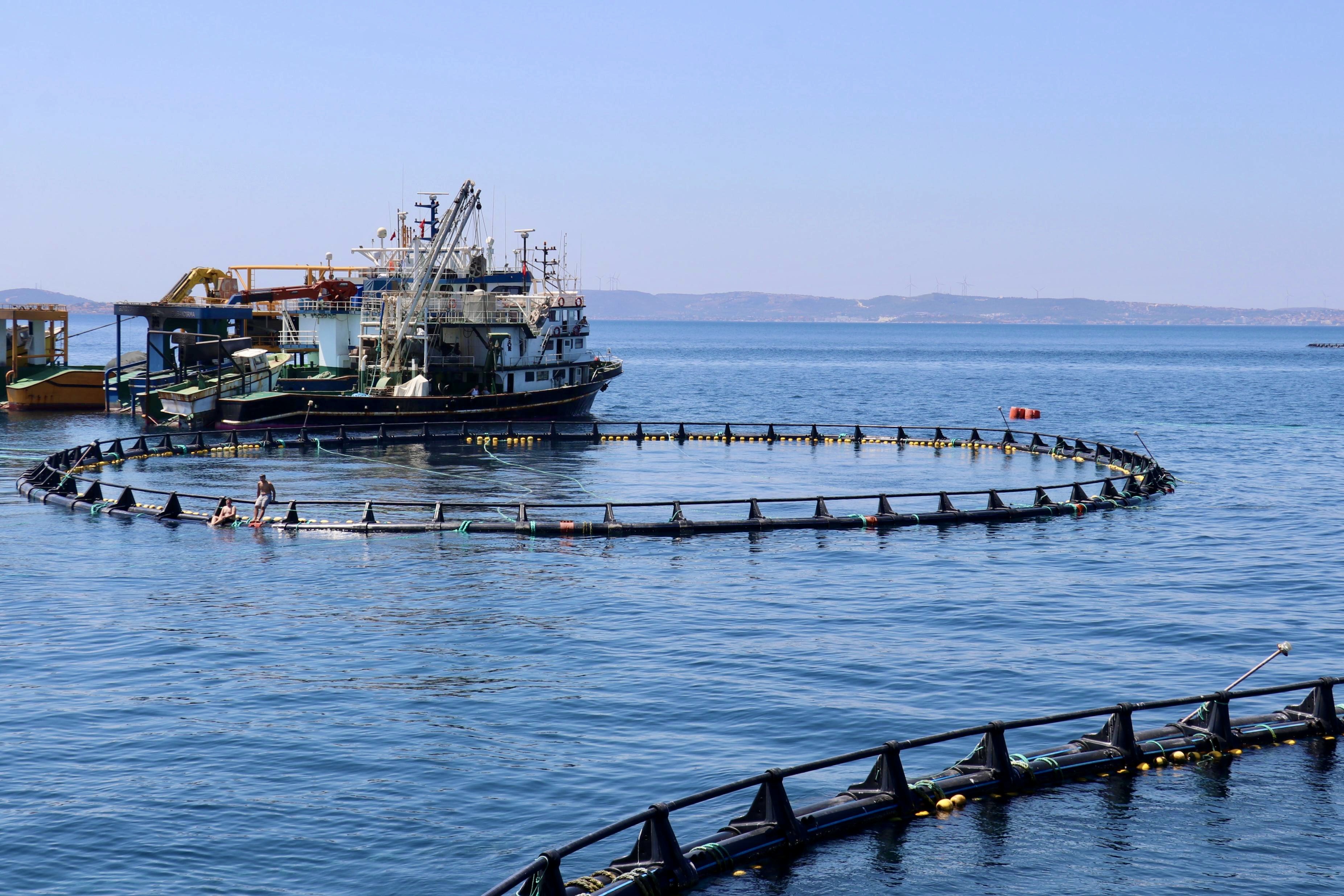 İzmir’in Orkinos Çiftlikleri Dünya Genelinde Tanınıyor1