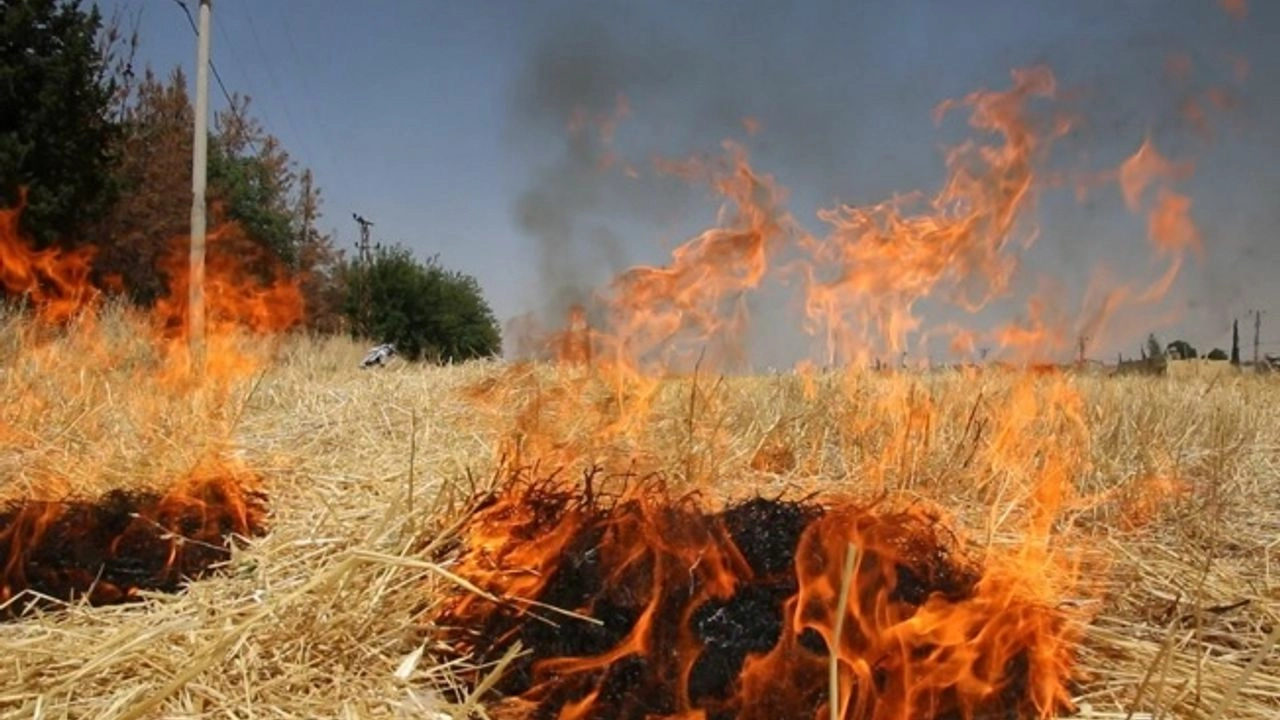Muğla'da Tarımsal Yangınlara Karşı Alınan Önlemler Açıklandı 2
