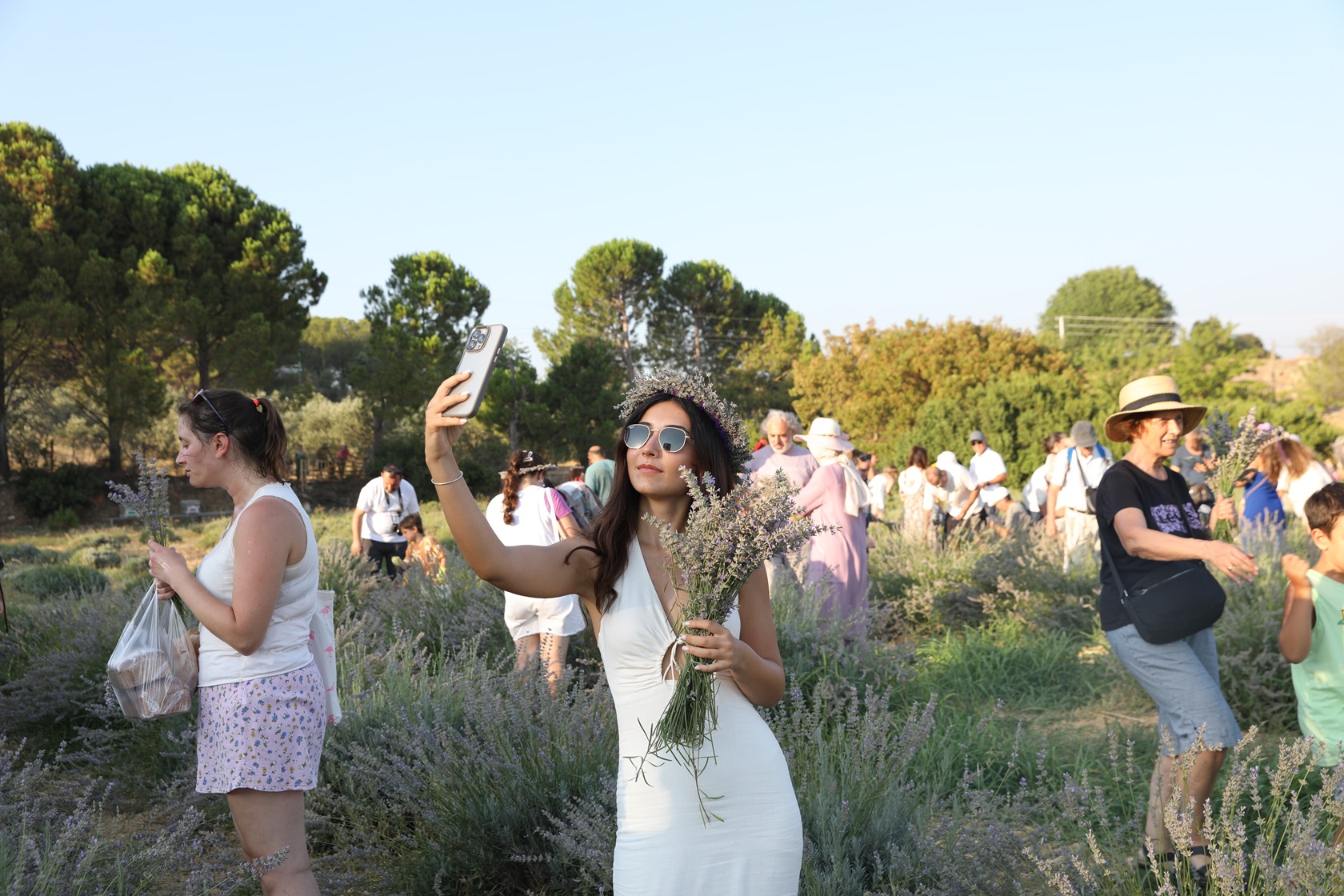 Seferihisar'da Lavanta Hasadı Festivali Gerçekleşti1