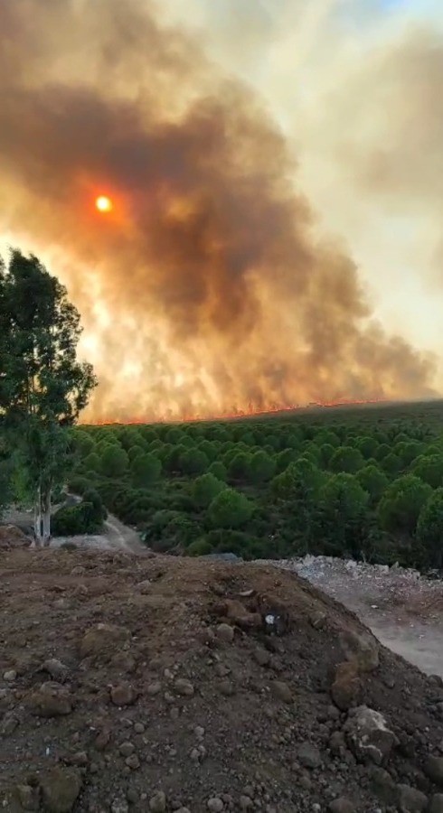 20 Eve Tahliye! Didim'de Makilik Yangınına Müdahale Sürüyor 1