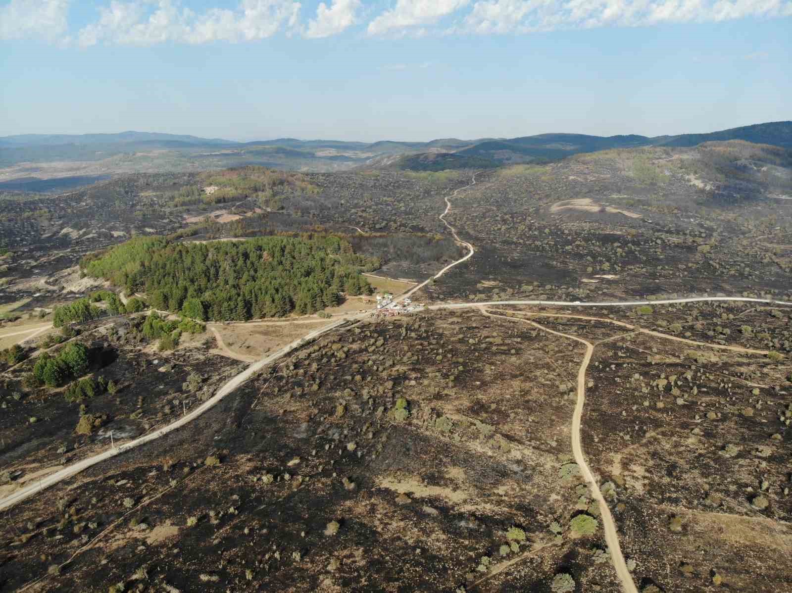 Ankara Bolu Sınırında Orman Yangını Havadan Görüntüler Paylaşıldıı