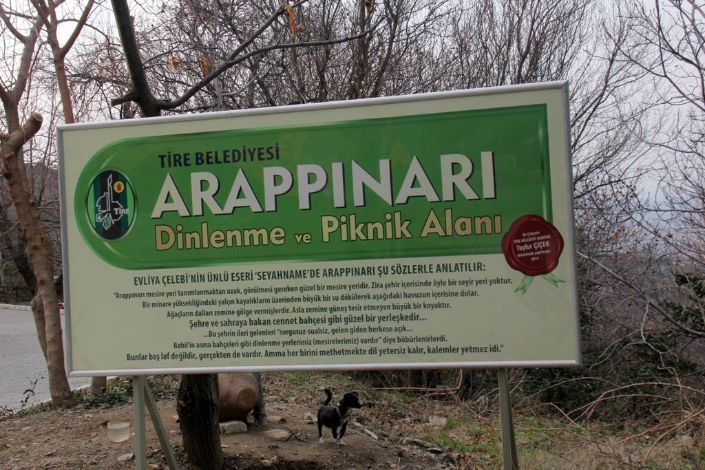 Arappınarı Mesire Alanı 4