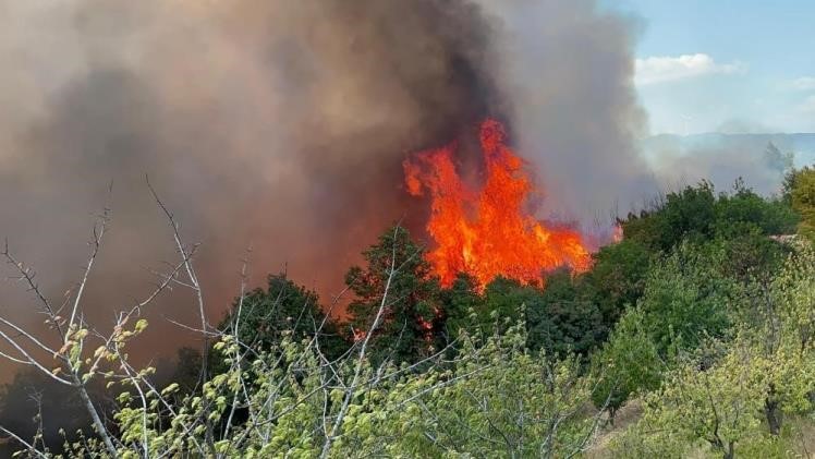 Bursa İznik'te Orman Yangını 12 Saat Sonunda Kontrol Altında1