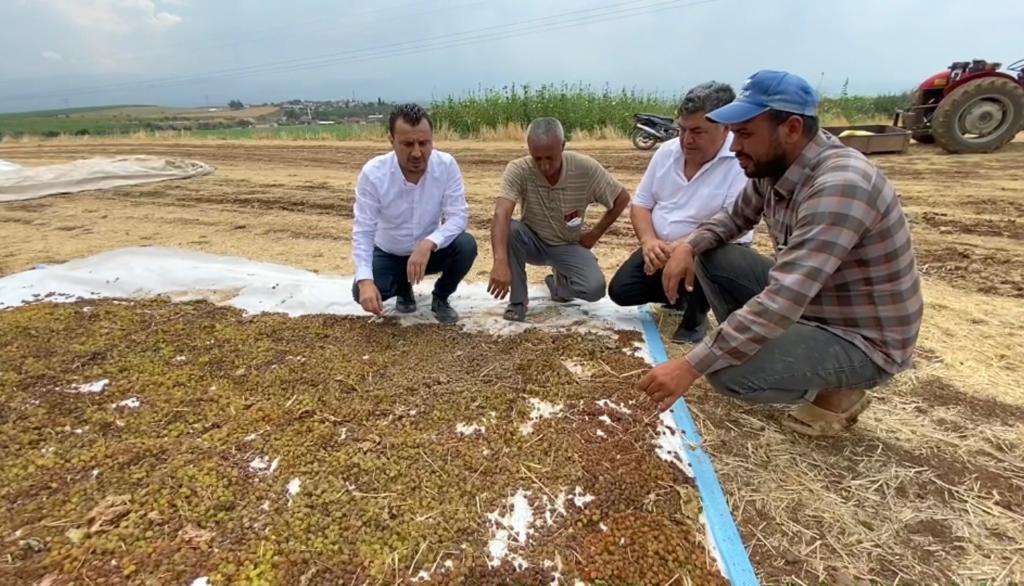 Chp'li Başevirgen'den Tmo'ya Çağrı Üzüm Üreticisi Tüccara Mahkum Olmamalı0