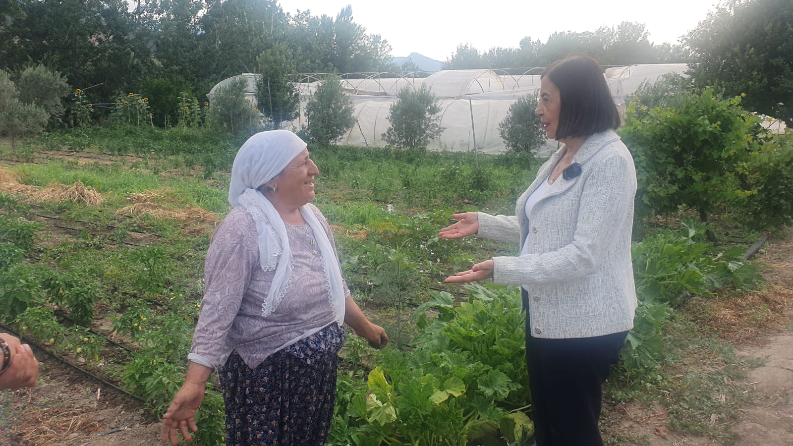 Chp’li Nur Süllü Tarım Politikaları Acilen Düzenlenmeli