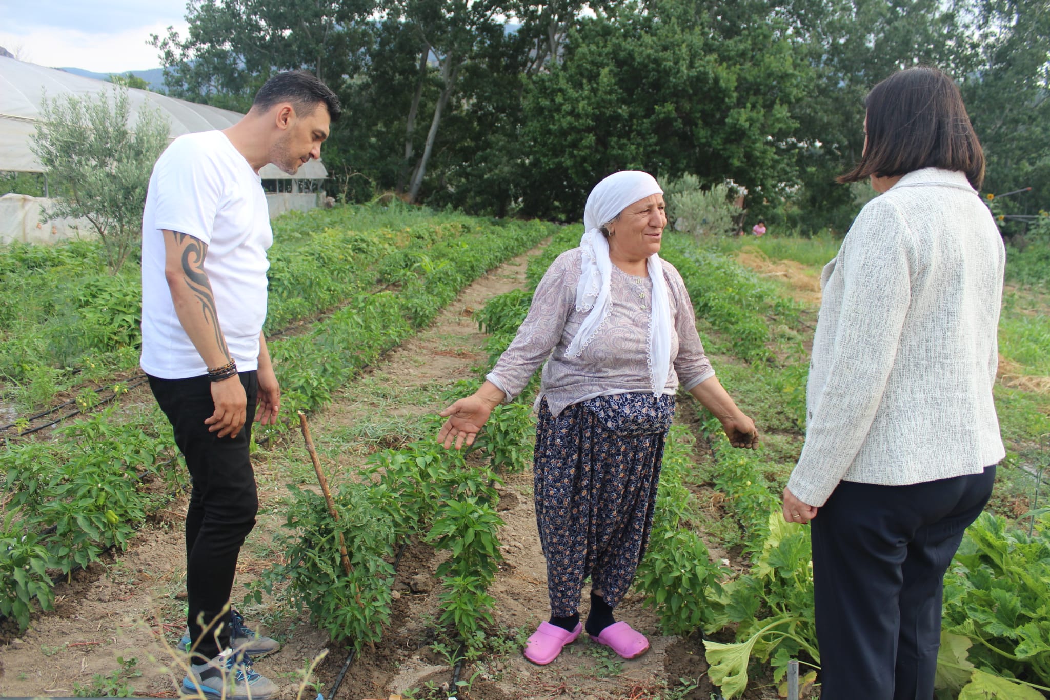 Chp’li Nur Süllü Tarım Politikaları Acilen Düzenlenmeli1