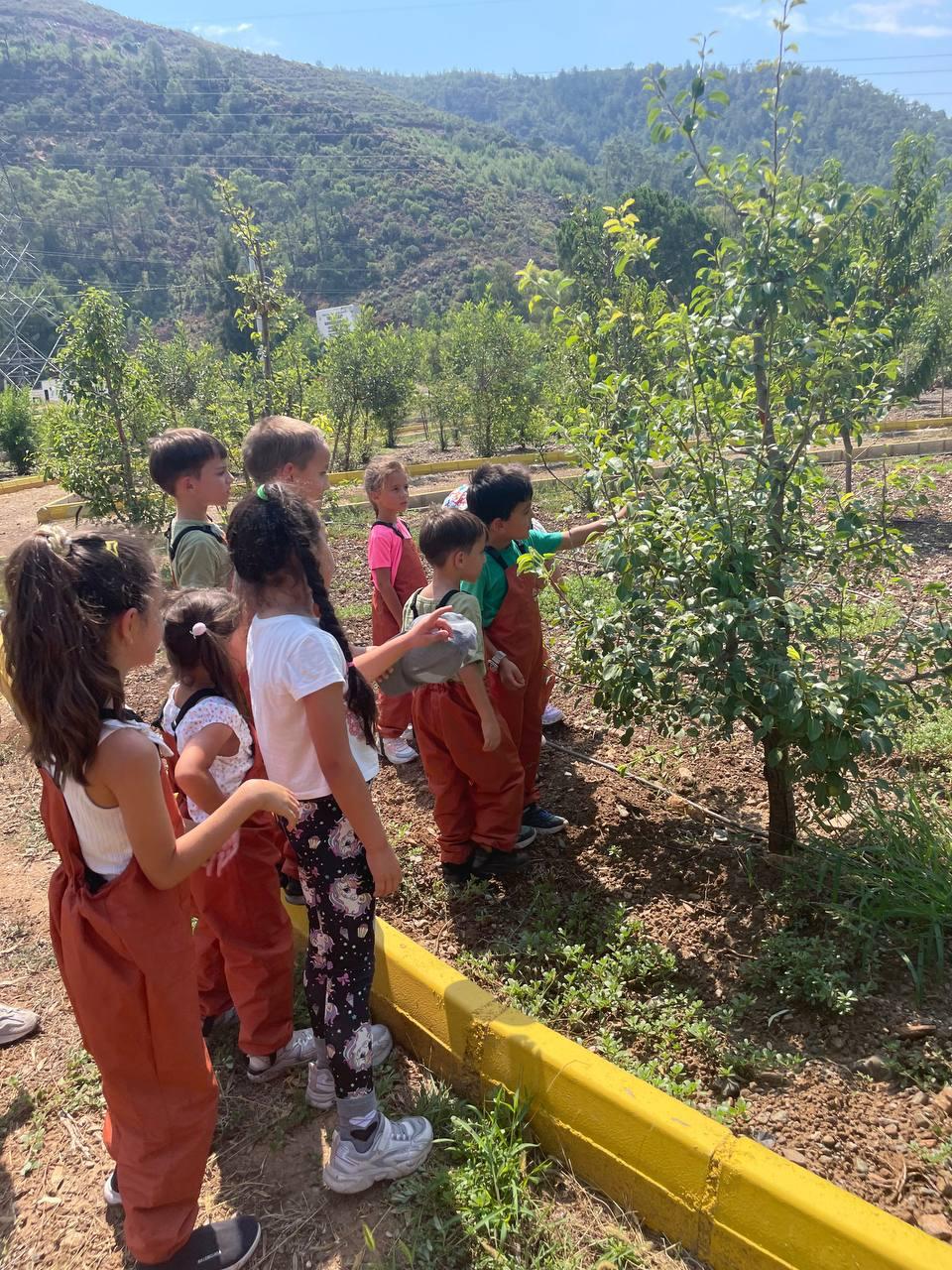 Çocuklar Tıbbi Bitkiler Koleksiyon Bahçesi’nde Doğayı Keşfediyor