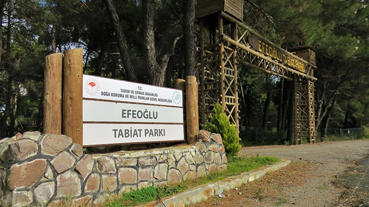 Efeoğlu Tabiat Parkı 4