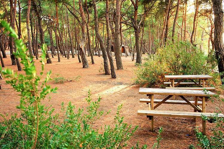 Efeoğlu Tabiat Parkı 5