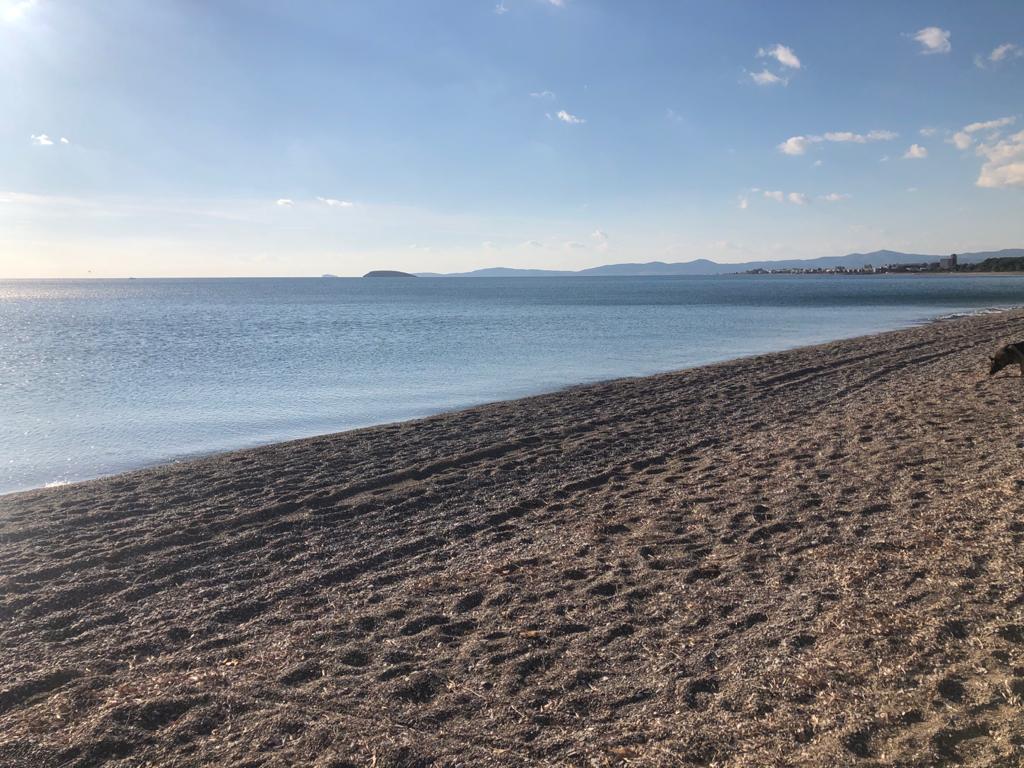 Ege Üniversitesi Özdere Kampı Plajı 2