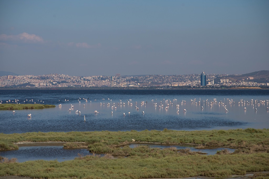 Flamingo Yolu Otobüs Turu Başlangıç Noktası 3