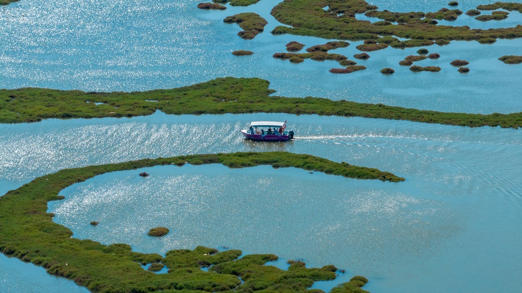 Flamingo Yolu Tekne Turu 2