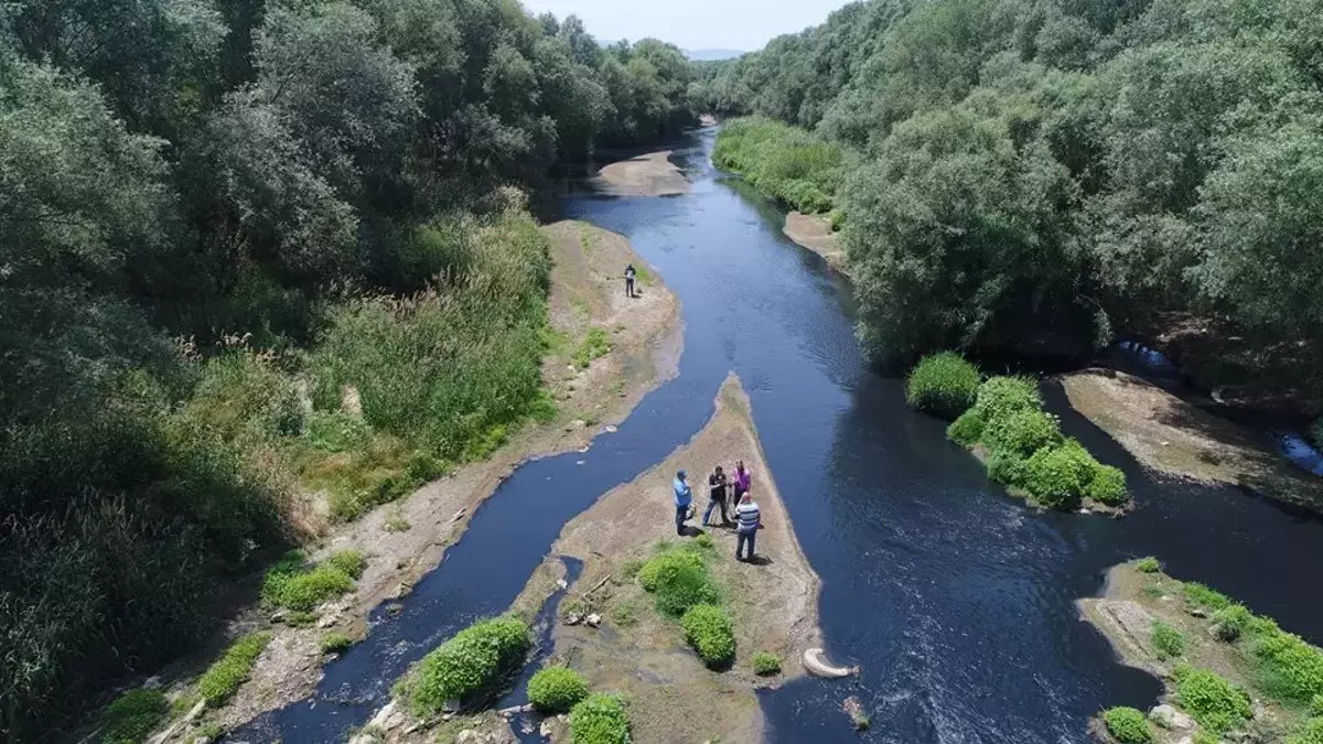 Gediz Nehri 2