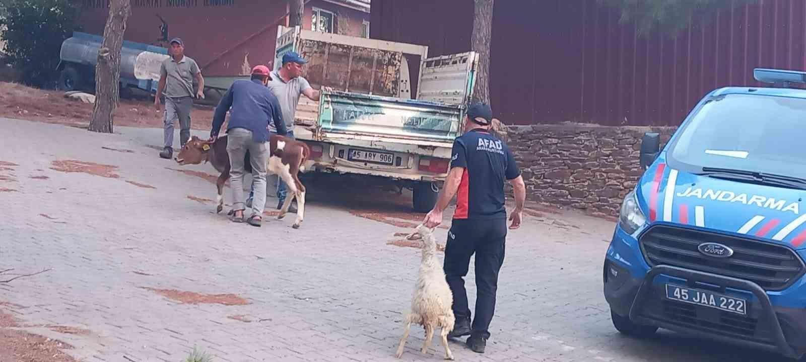 Gördes'teki Yangın Salihli'ye Sıçradı! İki Mahalle Boşaltıldı 1