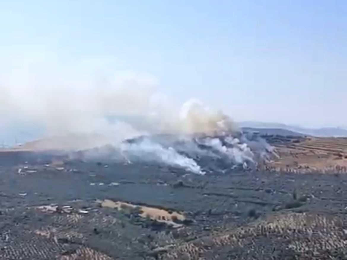 Güncelleme Erdek'teki Orman Yangınına 100 Personel Ile Müdahale Ediliyor!