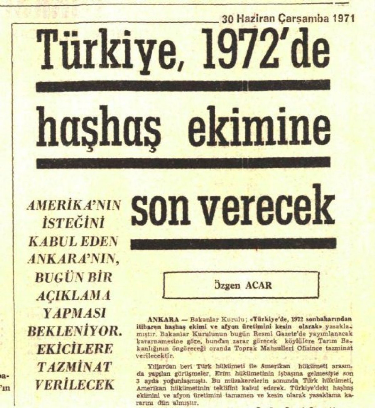 Haşhaş Üretimi Ambargo