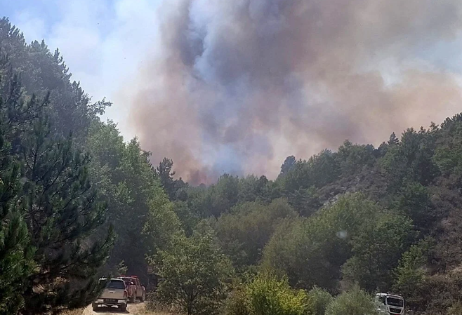 Afyonkarahisar'da orman yangını 