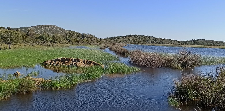 İris Gölü 2