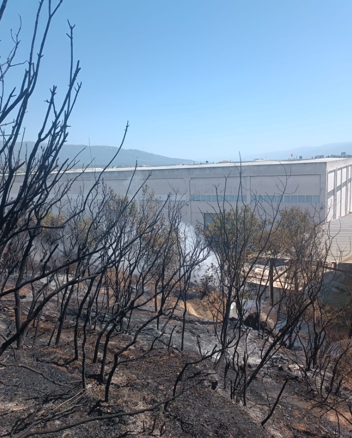 İzmir Kemalpaşa'da Orman Yangını Kontrol Altına Alındı1