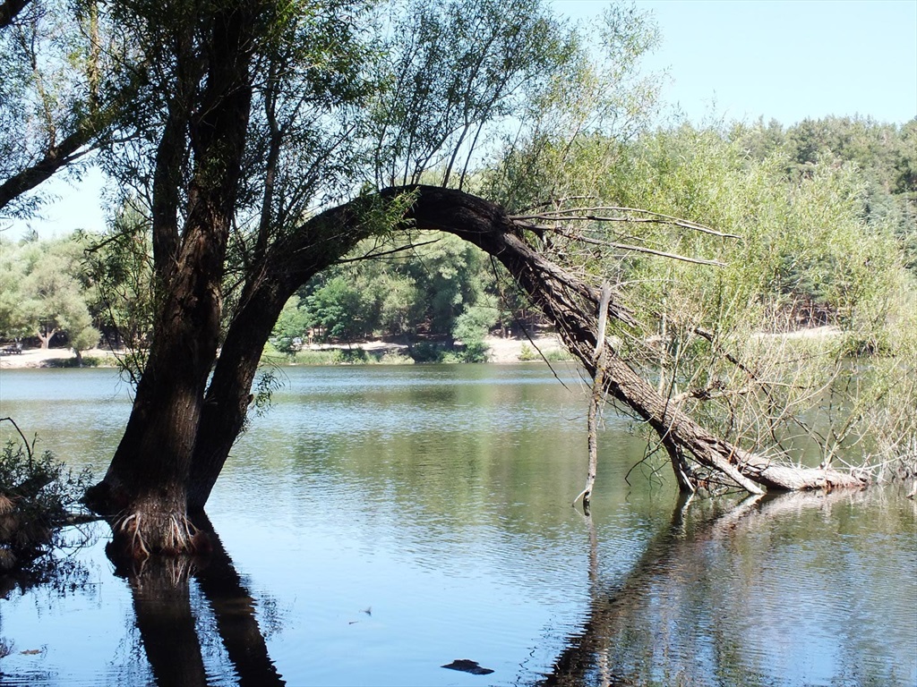 Karagöl Tabiat Parkı 5