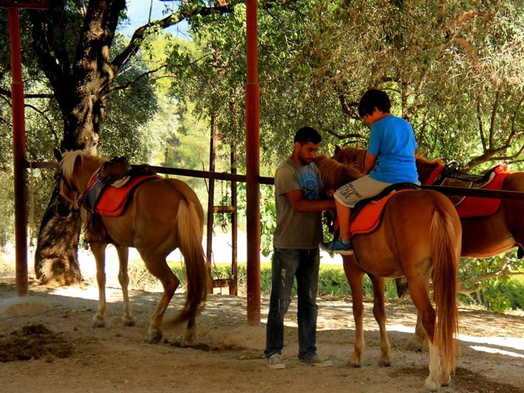 Kımız At Çiftliği 1