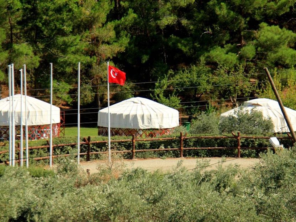 Kımız At Çiftliği 2