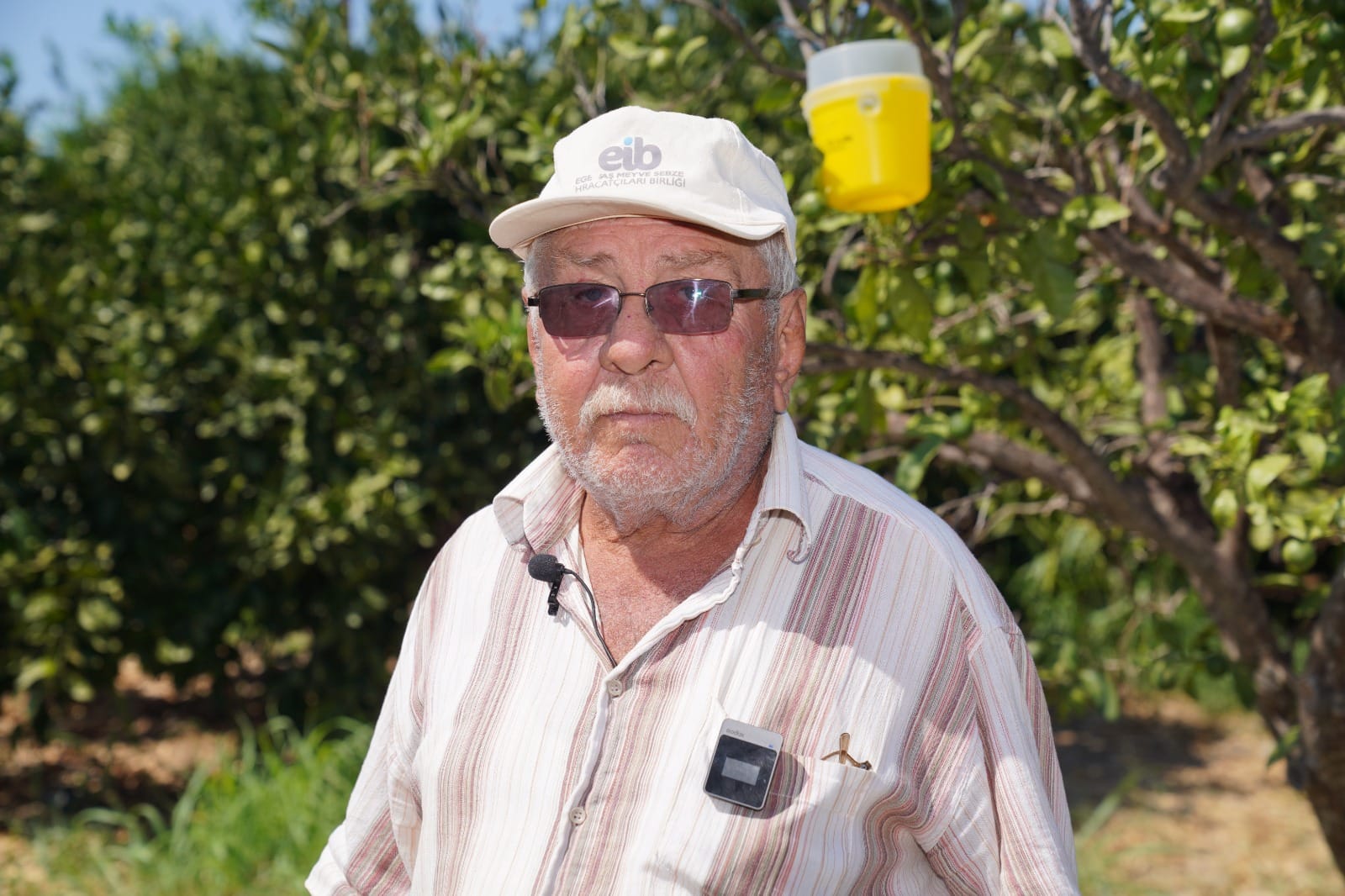 Mehmet Kayalı