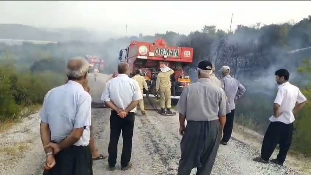 Osmaniye'nin Kadirli Ilçesinde Orman Yangını!0