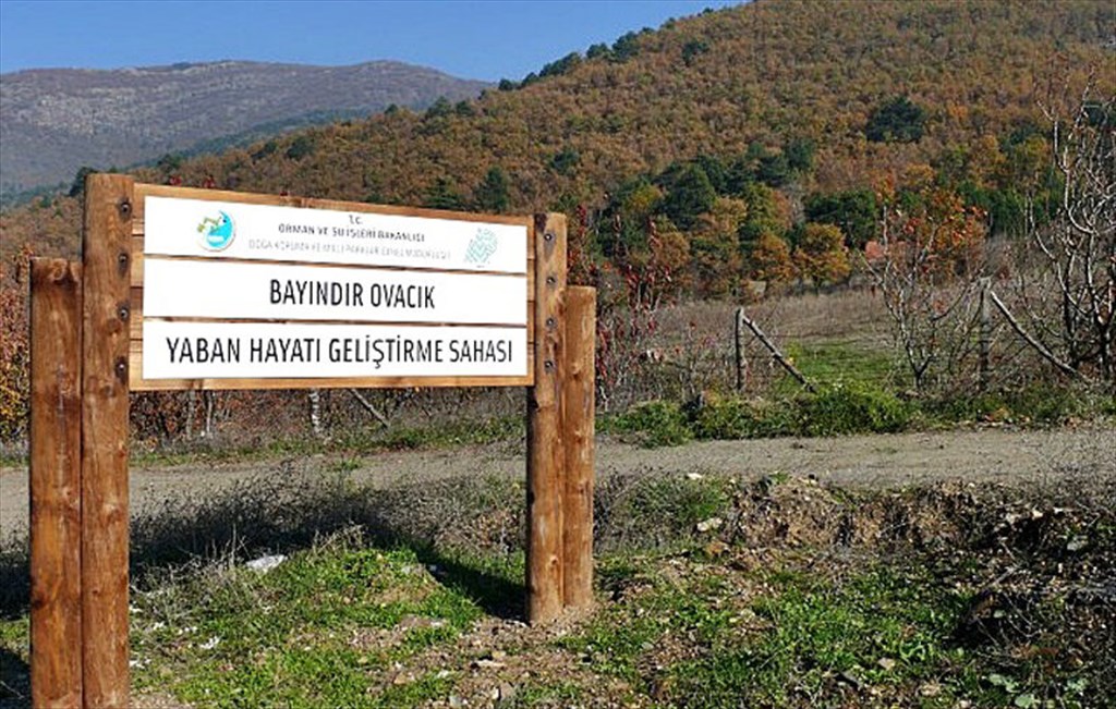 Ovacık Yaban Hayatı Geliştirme Sahası 4