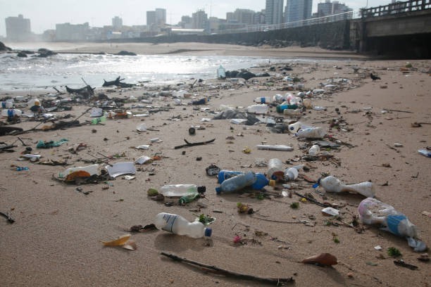 Plastic And Garbage On The Beach