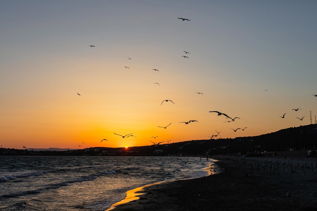 Swissotel Residences Çeşme Plajı 2