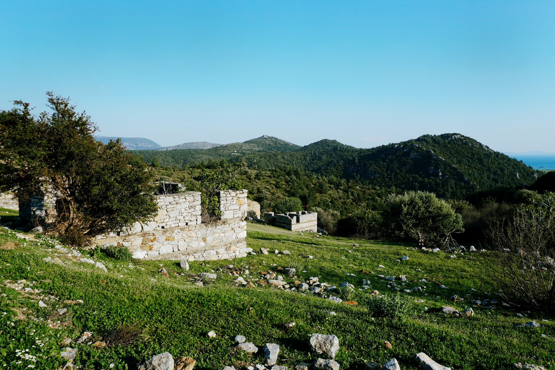 Zeytin Yolu 3