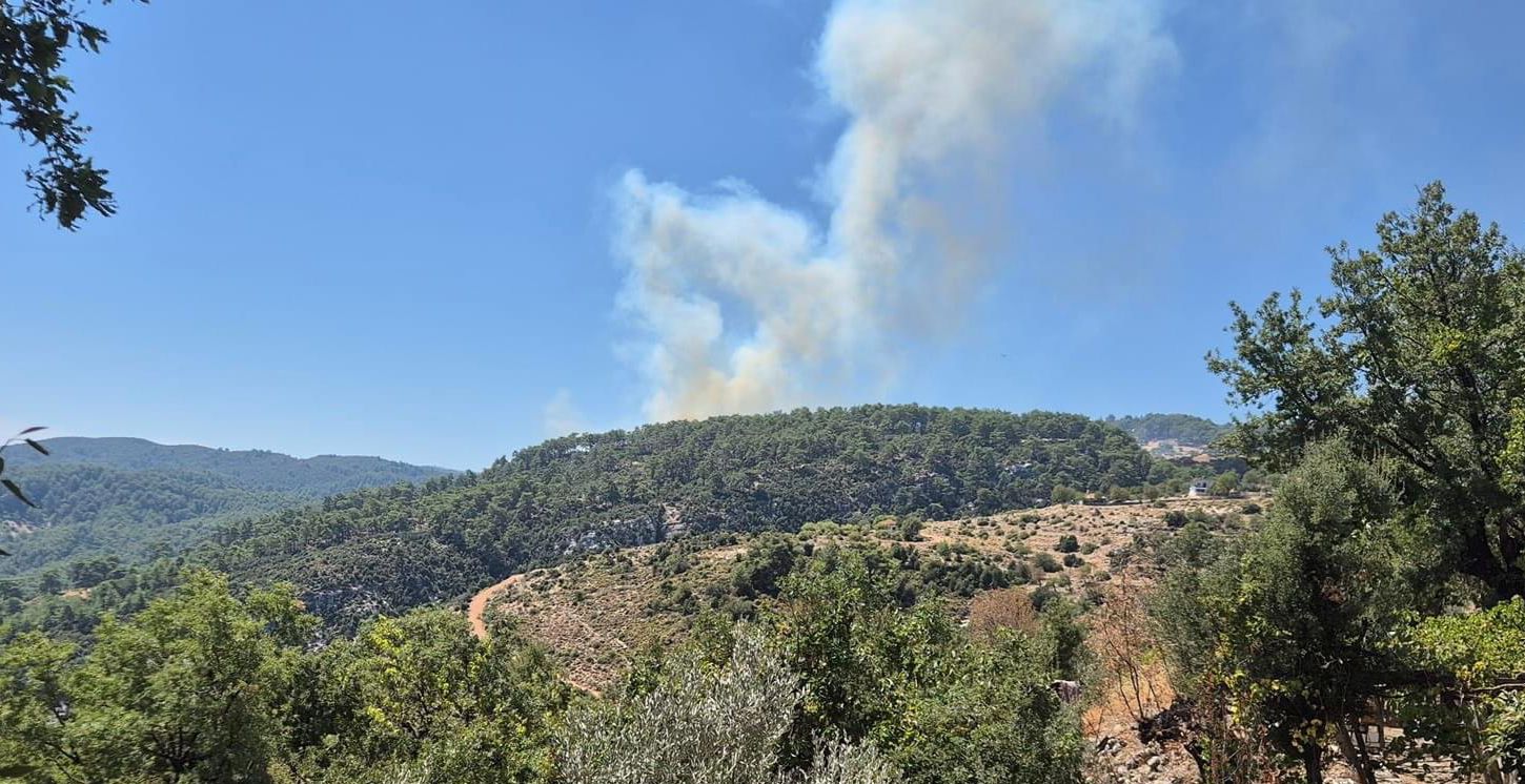 Antalya Kaş’ta orman yangını 