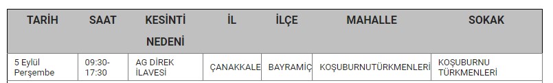 Bayramiç Kesinti-2