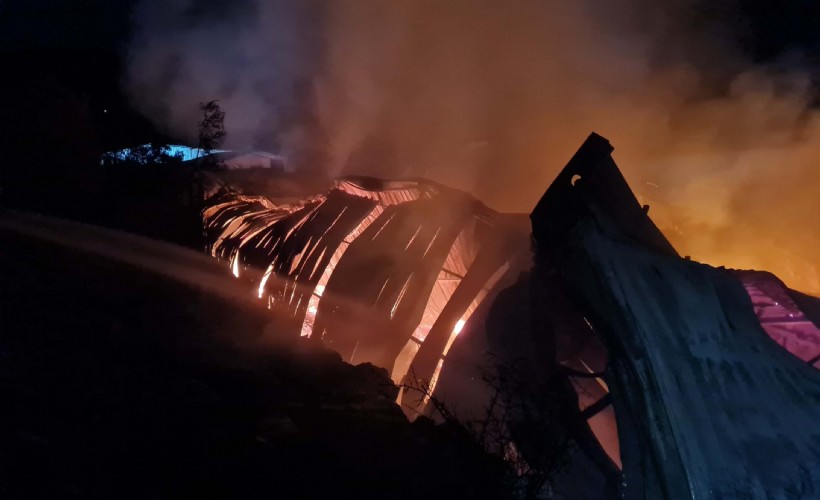 Bodrum’da Korkutan Yangın Alevler Atölyeden Ormana Sıçradı