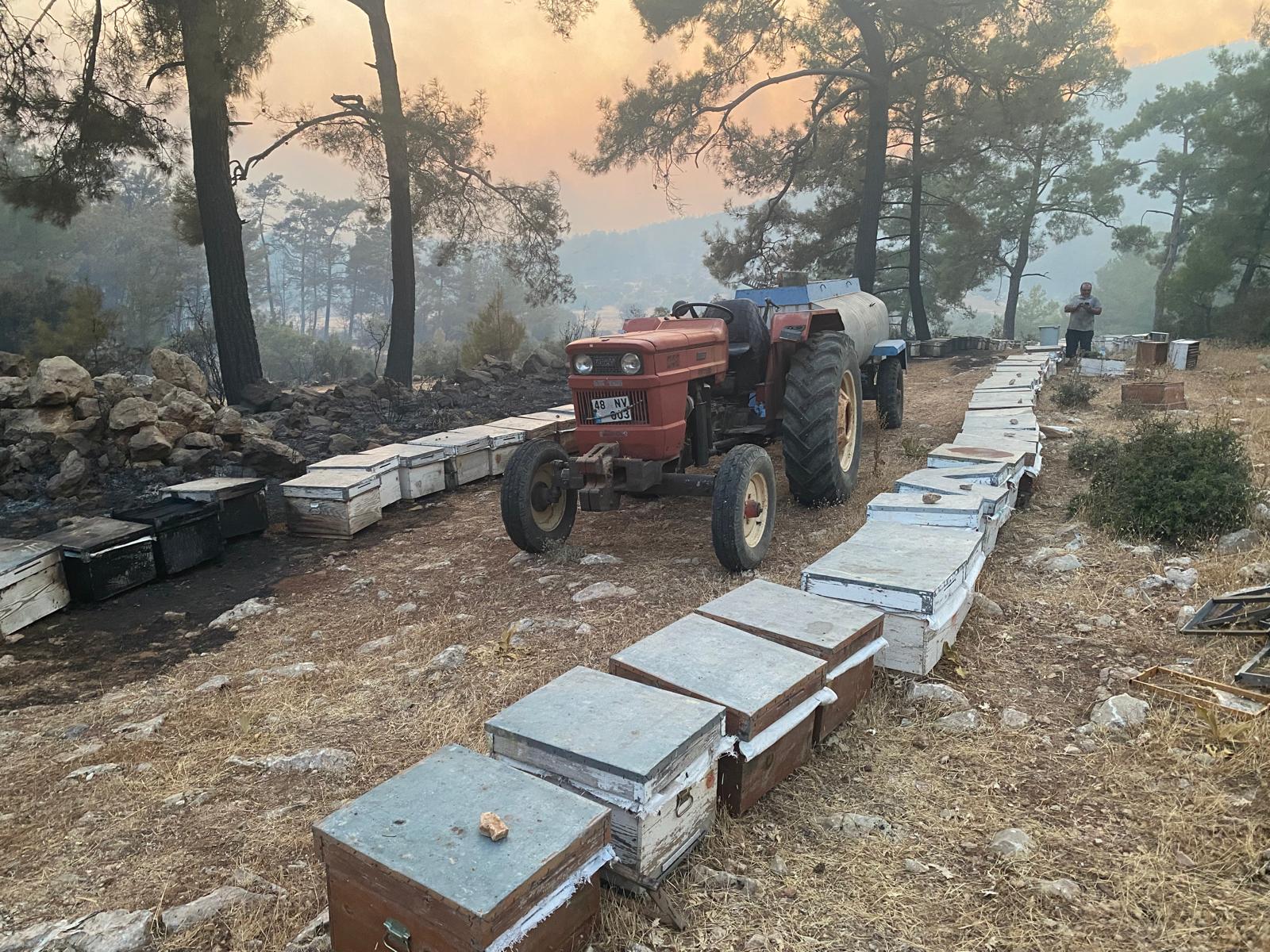 Büyükşehir Yangından Etkilenen Arıcılara Destek Olacak (4)