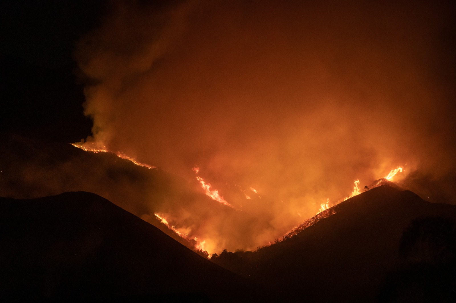 California’da 100 Bin Dönüm Alan Küle Döndü!0