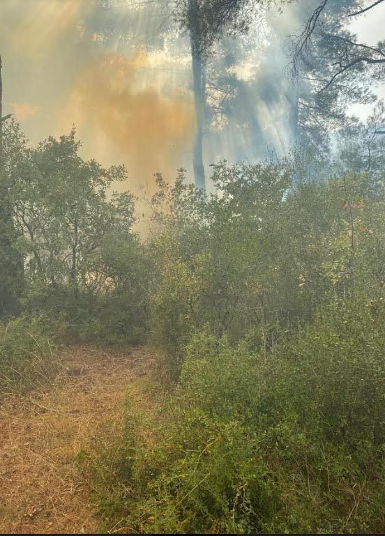 Çanakkale Orman Yangınında 1 Hektarlık Alan Zarar Gördü0