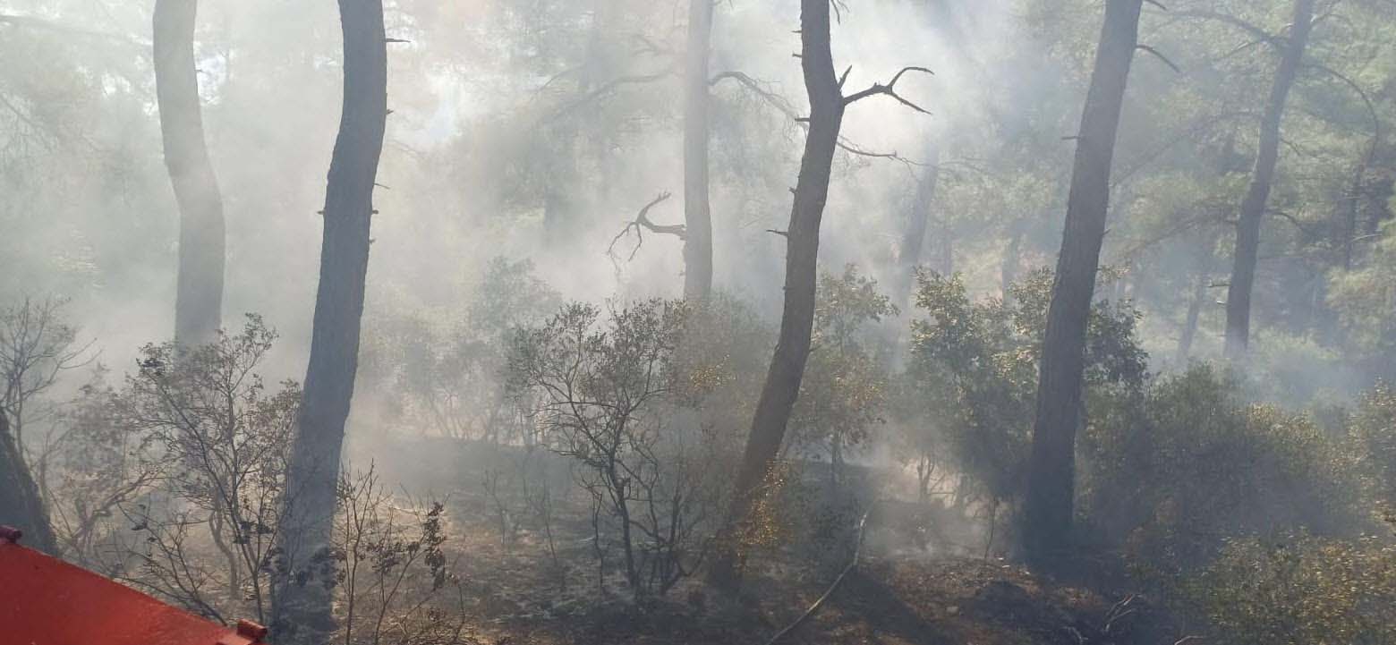 Çanakkale Orman Yangınında 1 Hektarlık Alan Zarar Gördü1