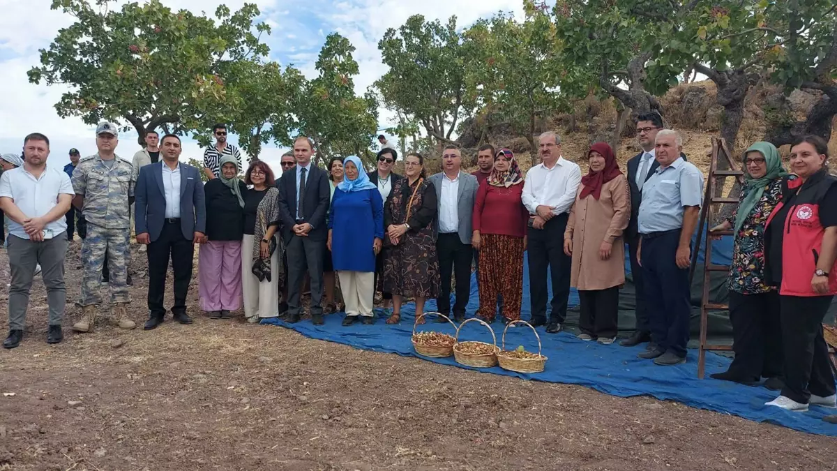 Çanakkale'de 3. Geleneksel Antep Fıstığı Hasat Şenliği Coşkuyla Gerçekleşti