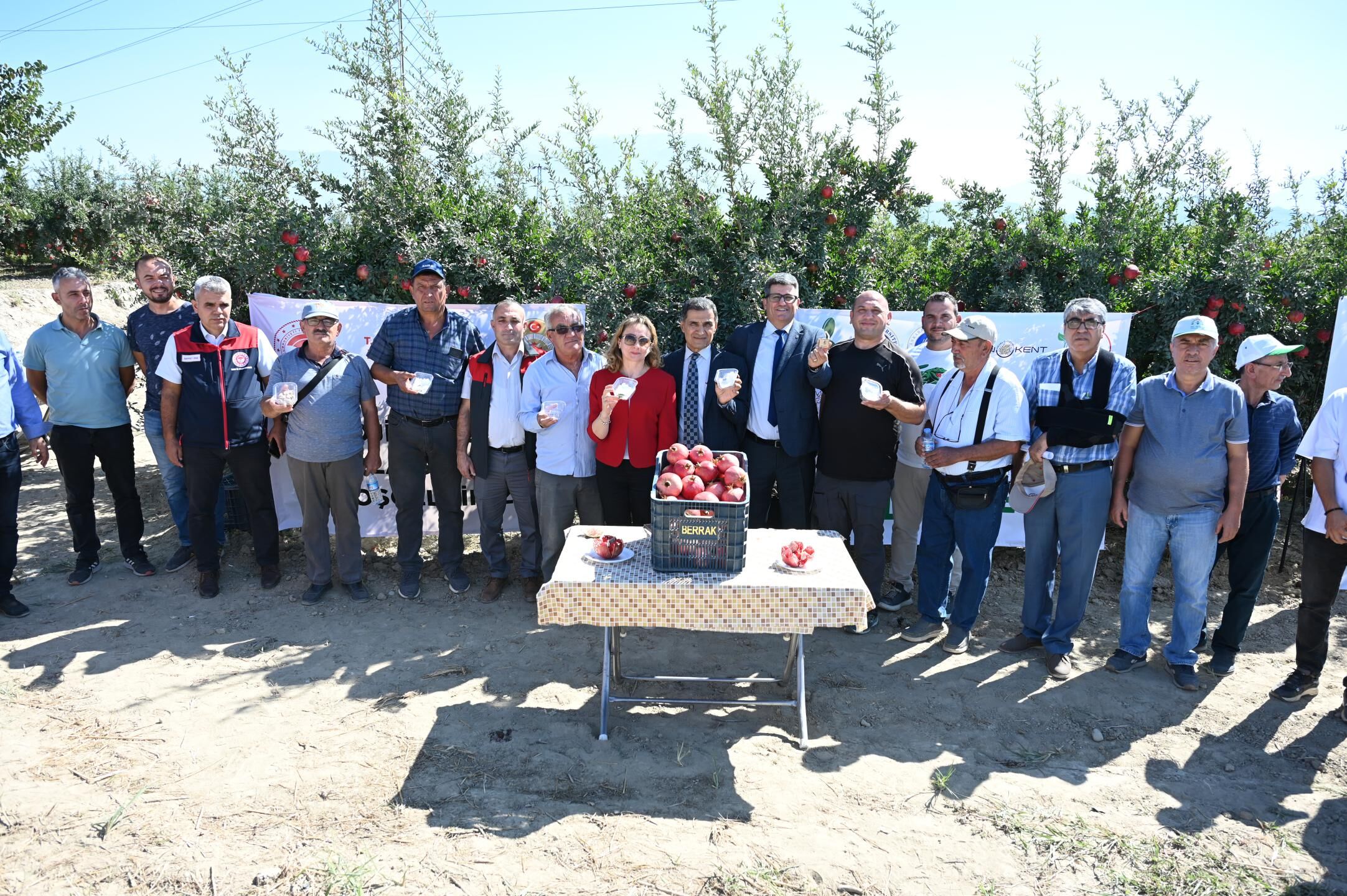 Denizli'de Biyolojik Mücadele Ile Nar Üretiminde Ilaç Kullanımı %80 Azaldı (4)
