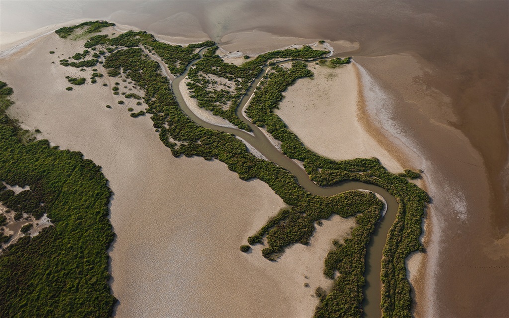 Gediz Delta