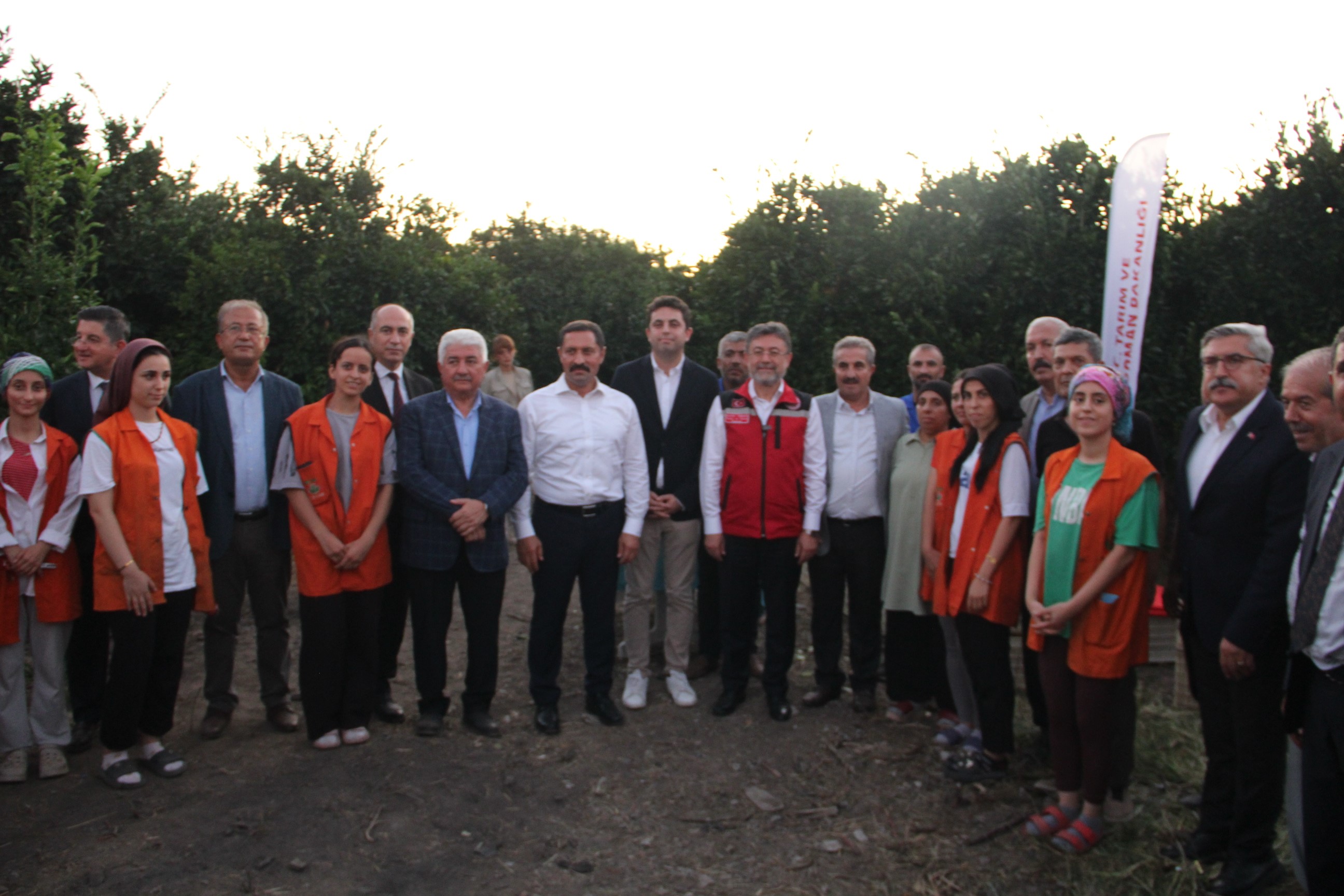 İbrahim Yumaklı, Hatay Dörtyol'da Narenciye Hasadının Sezonunu Açtı (1)