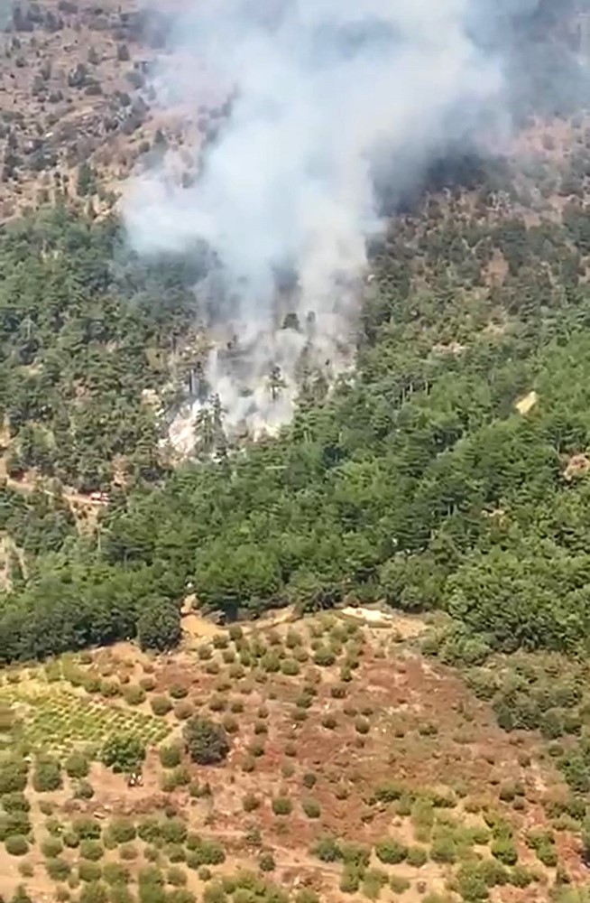 İzmir Kemalpaşa'da Orman Yangını-1