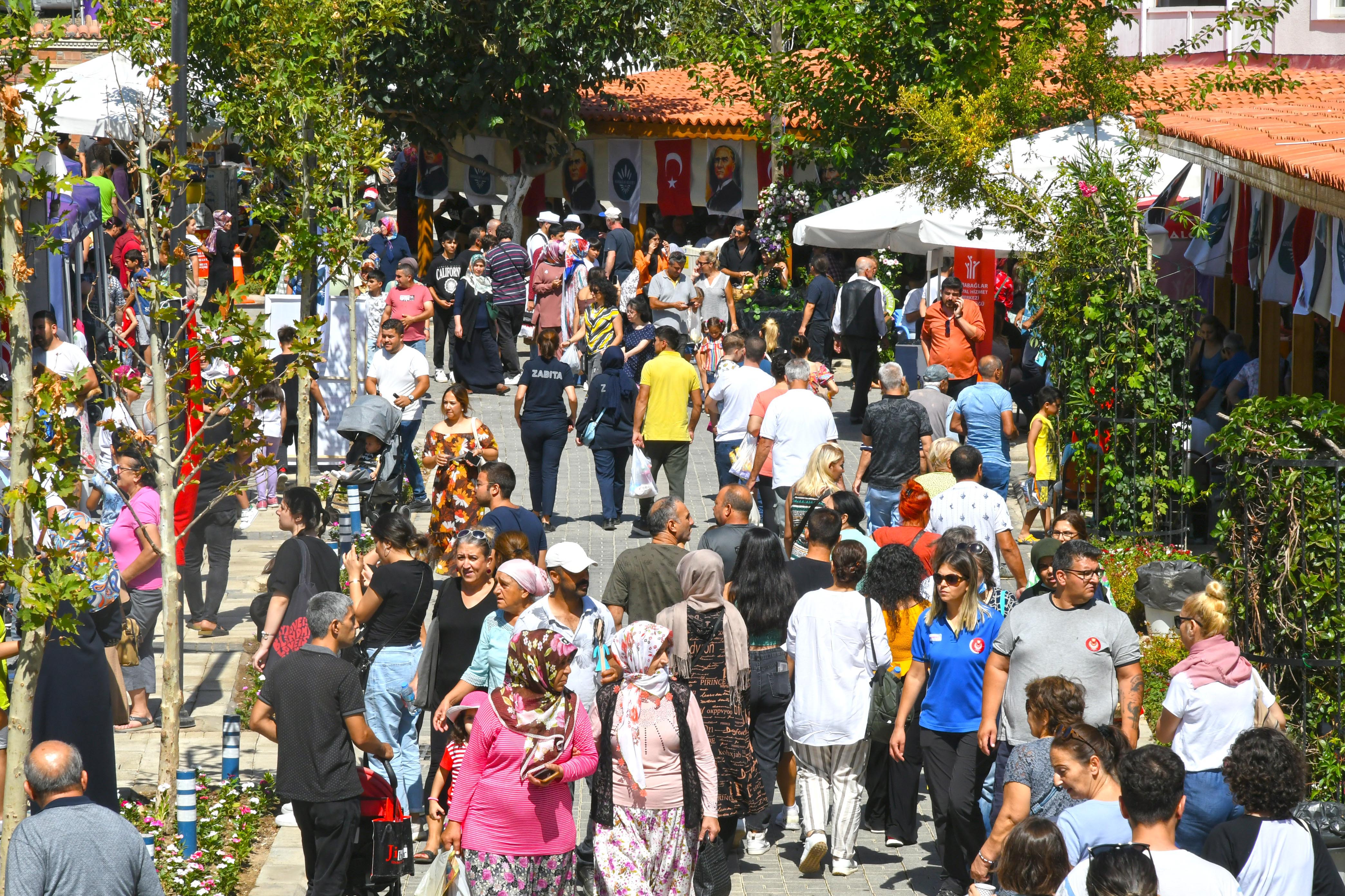 Kavacık Köyü Üzüm Festivali'ne Hazırlanıyor!5