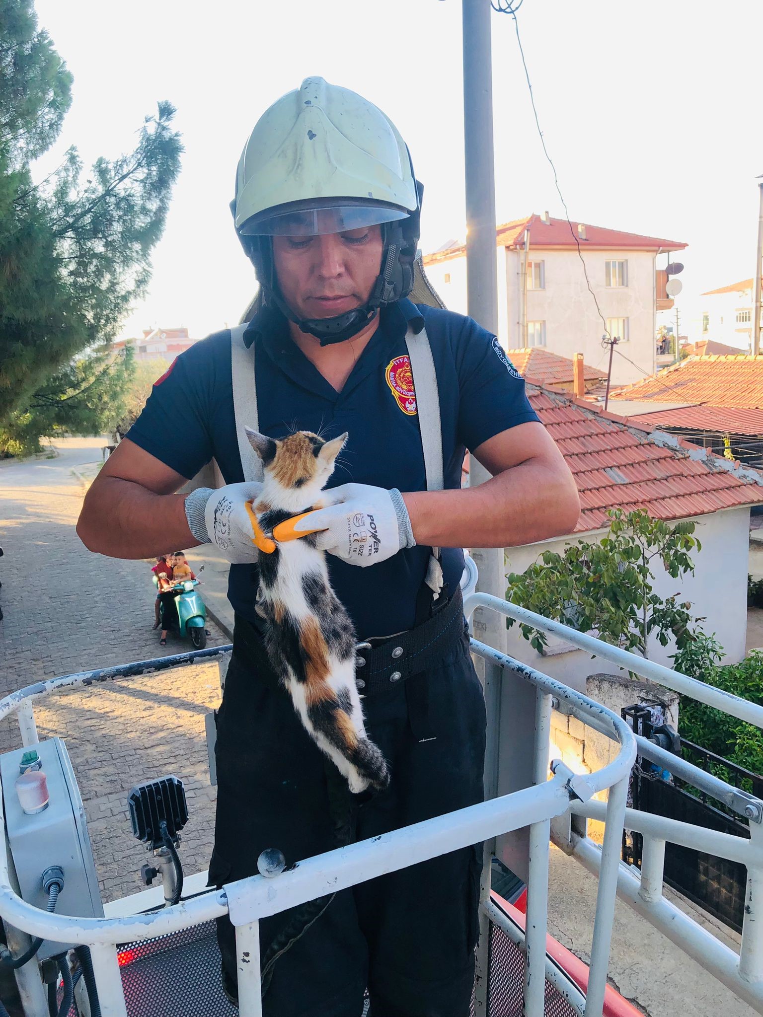 Manisa'da Ilkokul Bahçesindeki Ağaçta Mahsur Kalan Kedi Kurtarıldı